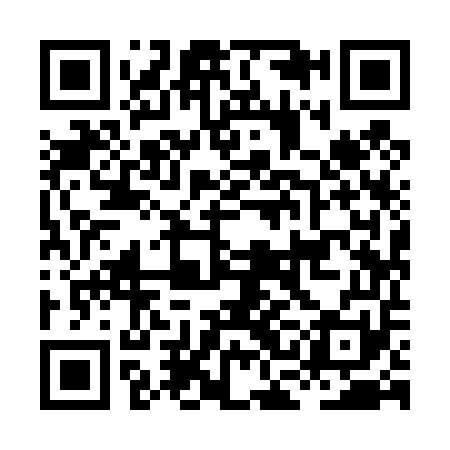 QR code for HCI451
