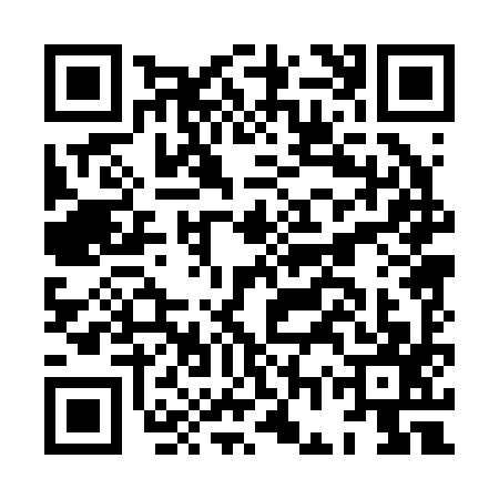 QR code for HGP2976