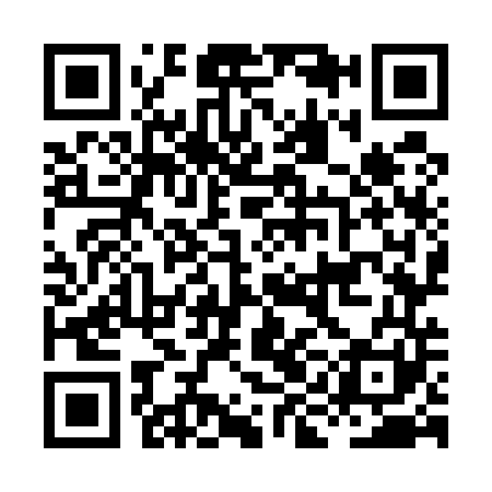 QR code for HIO541