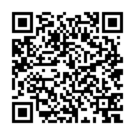 QR code for HJE6311