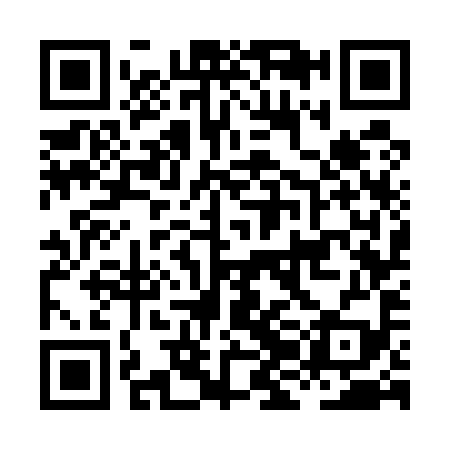QR code for HJG599