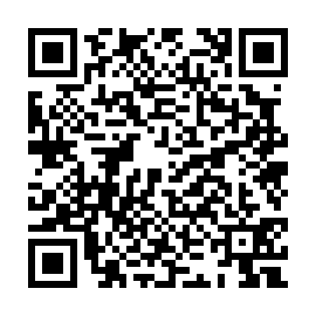 QR code for HKO0313