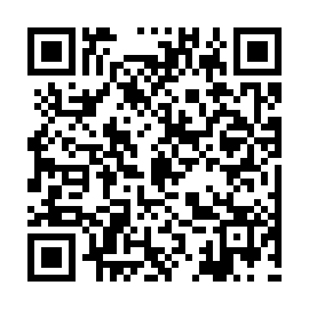 QR code for HKV383