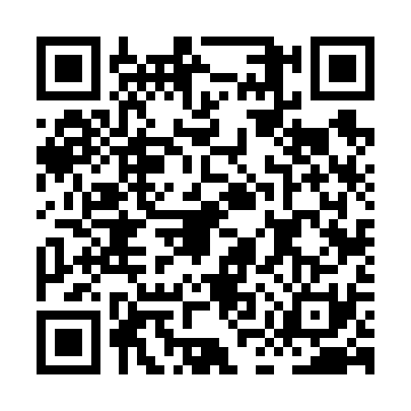 QR code for HMV6317