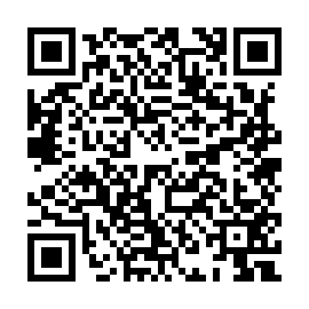 QR code for HNO9533