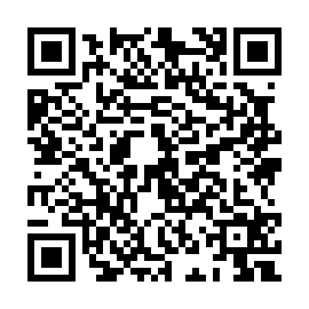 QR code for HNY0246
