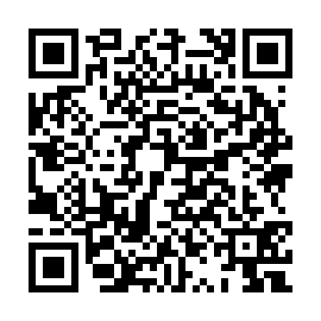 QR code for HQI2317