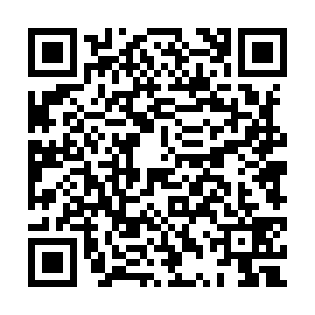 QR code for HTT9393