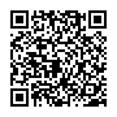 QR code for HXN0293