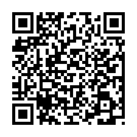 QR code for HYB9161