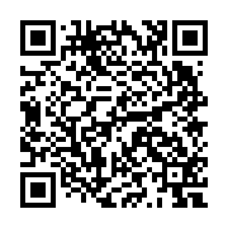 QR code for HYQ613
