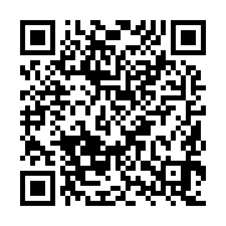 QR code for HYQ991