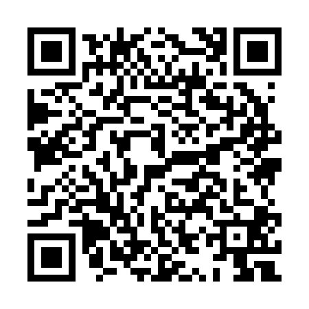 QR code for HYY2006