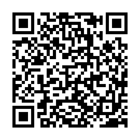 QR code for HZX313
