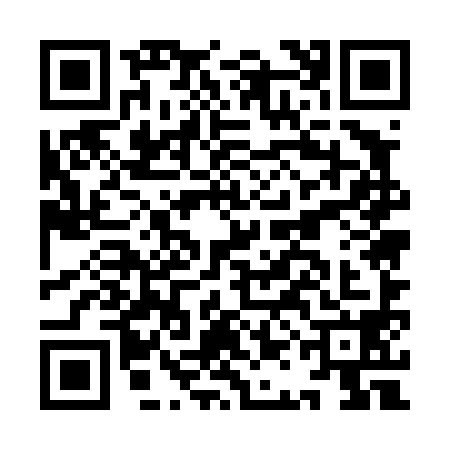 QR code for IAE4982