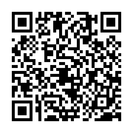 QR code for IAT0538