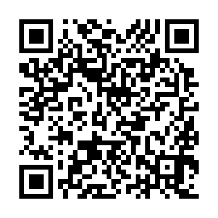 QR code for IBV390