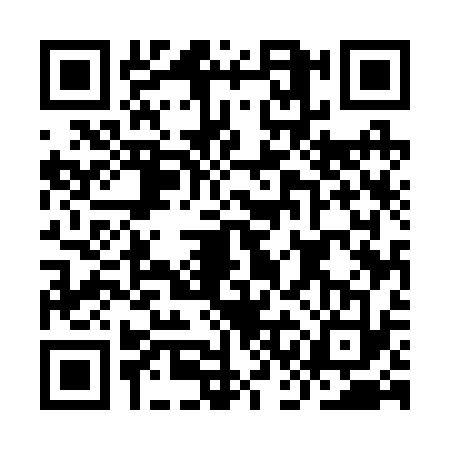 QR code for ICE2339
