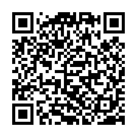 QR code for ICG491