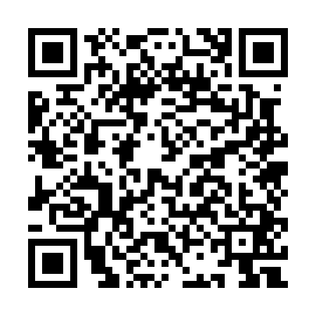 QR code for ICO0415