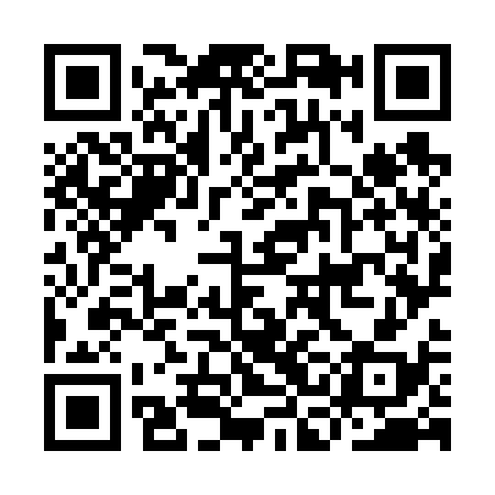 QR code for ICO638