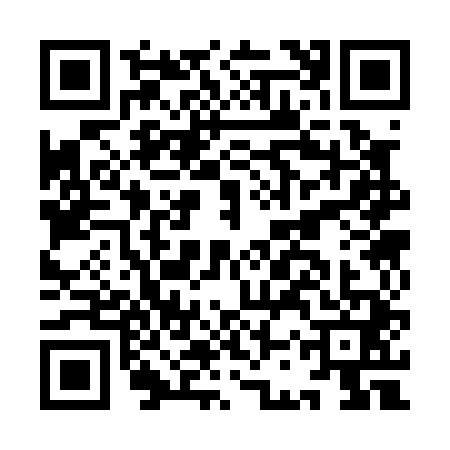QR code for ICS0419