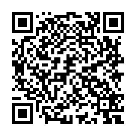 QR code for ICY929