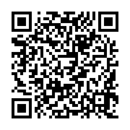 QR code for IDI197