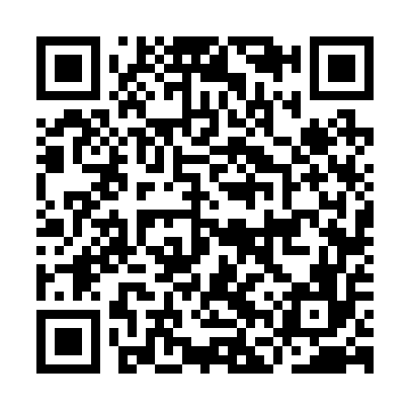 QR code for IFV256