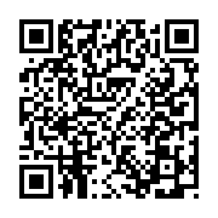 QR code for IGT9296