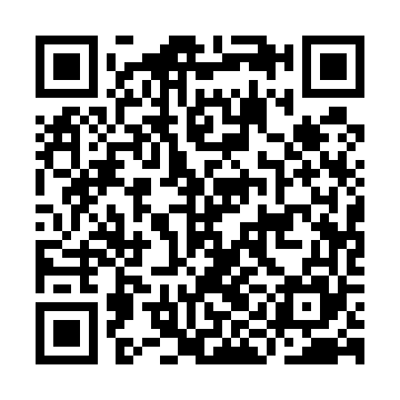 QR code for IIA565