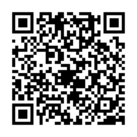 QR code for IIC3796