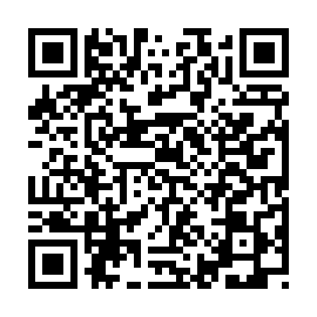 QR code for IIE4890