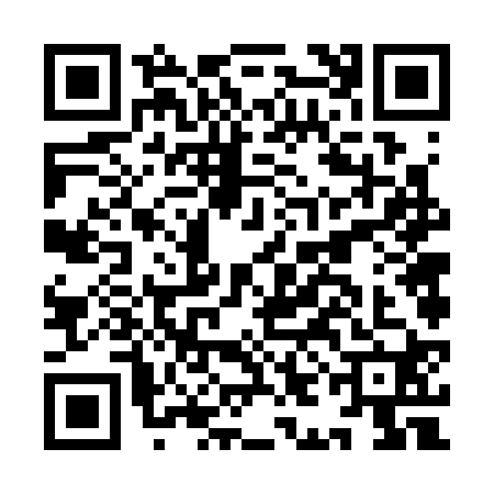 QR code for IIF3201