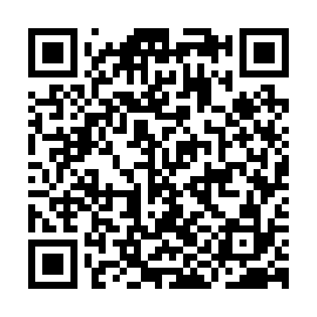 QR code for IIG232