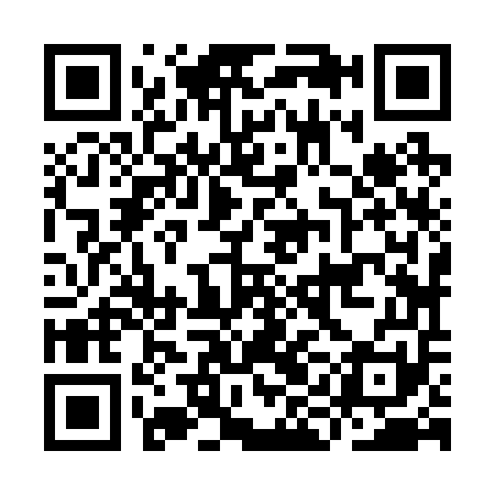 QR code for IIJ251
