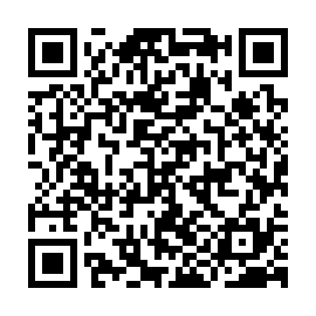 QR code for IIM335