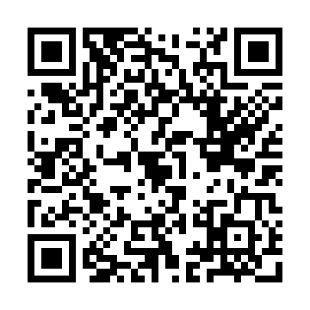 QR code for IIN3006