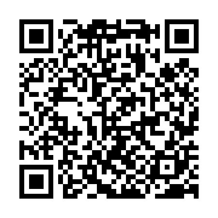 QR code for IIN400