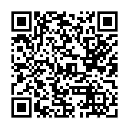 QR code for IIN951