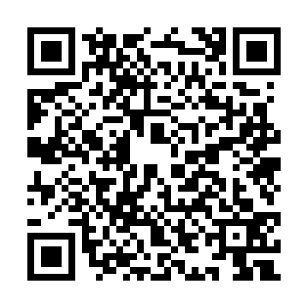QR code for IIO7334