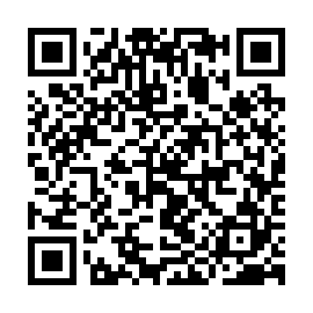 QR code for IIS222