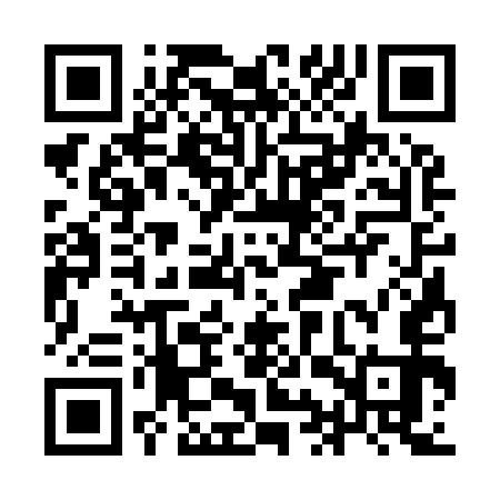 QR code for IIS953