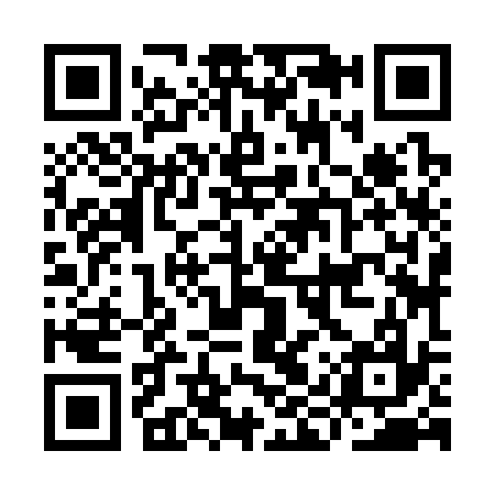 QR code for IIZ337