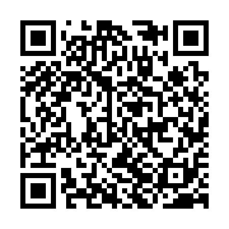 QR code for IJF311