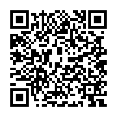 QR code for IJR0528