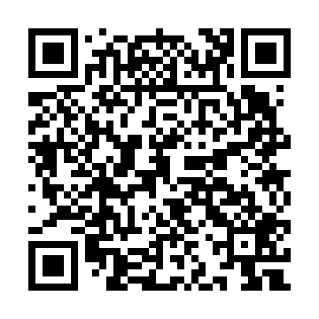 QR code for IJS609