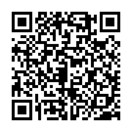 QR code for ILR1995