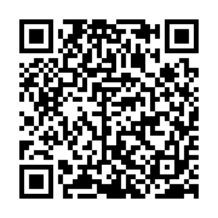 QR code for ILS313