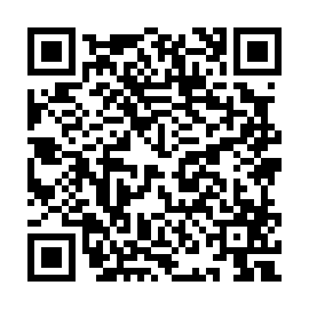 QR code for INI0873